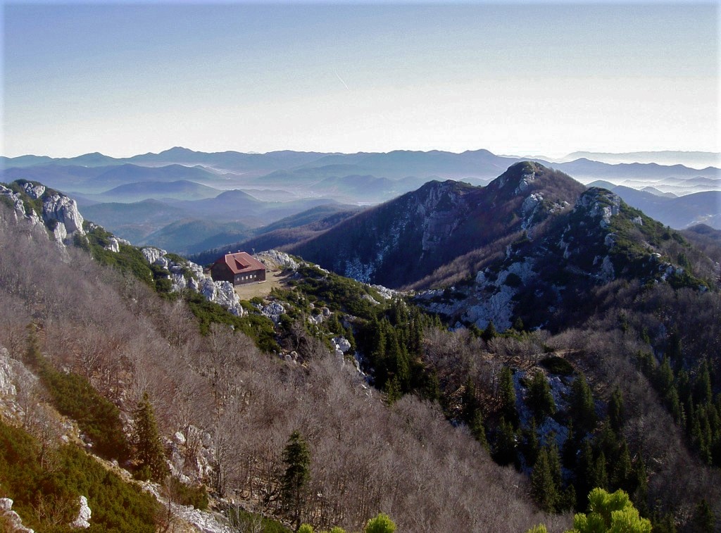 Risnjak